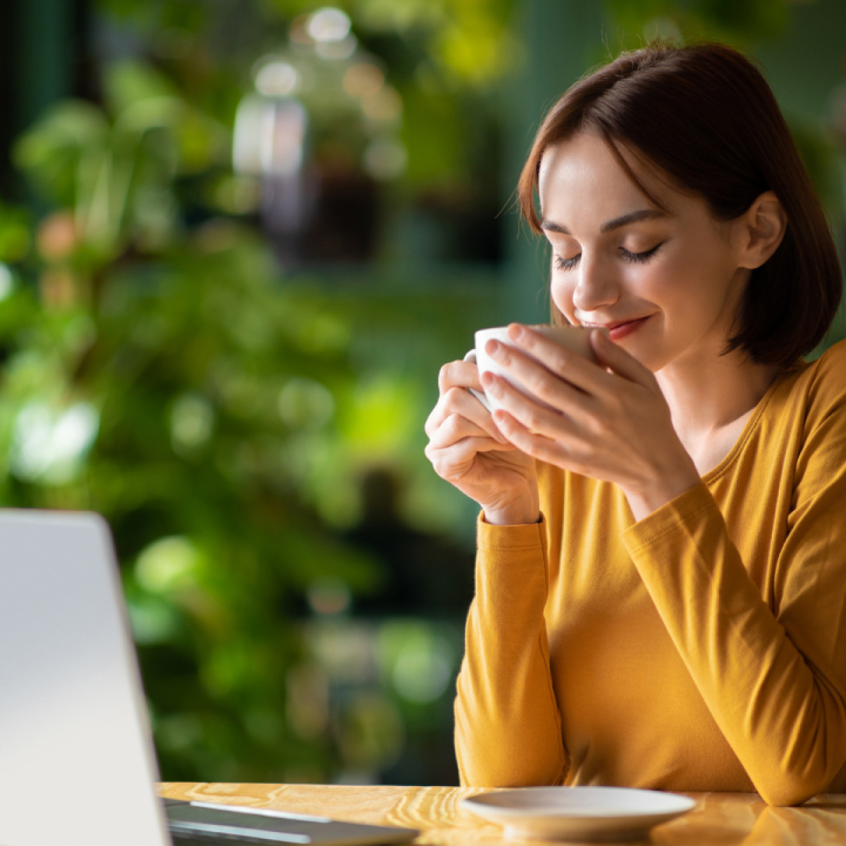 Transpórtese a un acogedor café